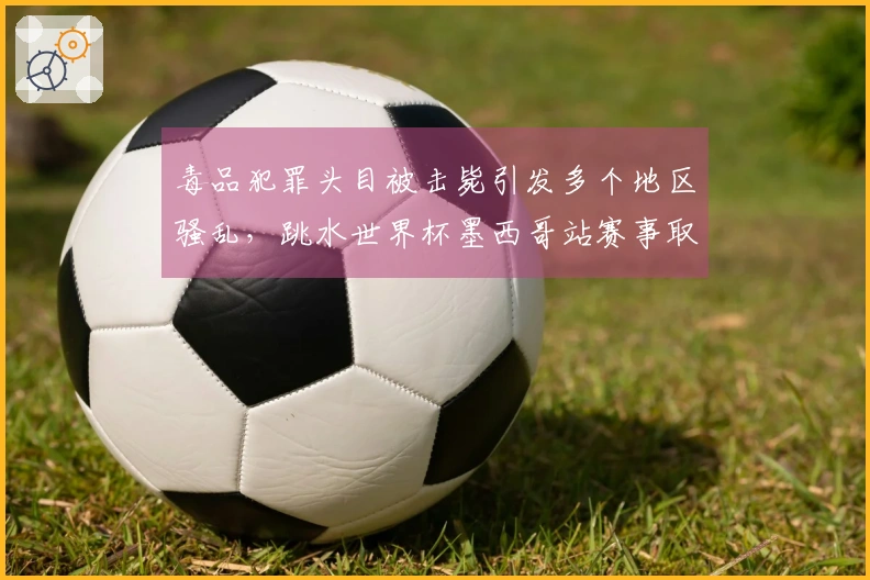 毒品犯罪头目被击毙引发多个地区骚乱，跳水世界杯墨西哥站赛事取消